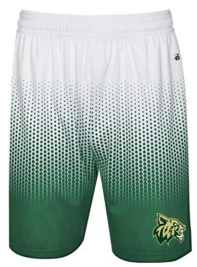 Taylors Falls Badger Youth Ombre Shorts